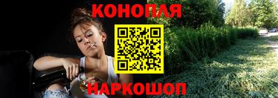 стафф Гусев