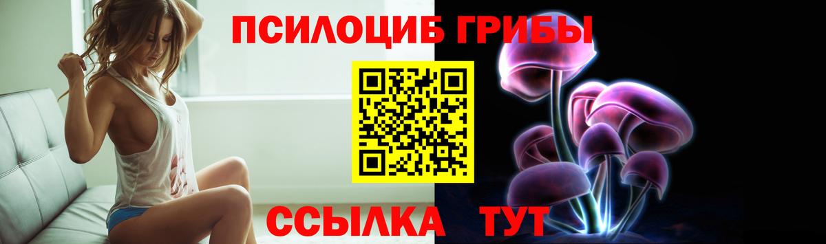 Псилоцибиновые грибы MAGIC MUSHROOMS Новодвинск
